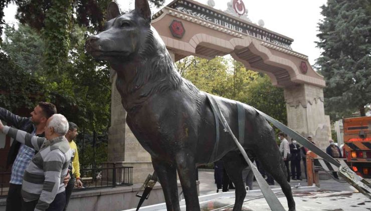 44 yıldır kayıp olan bozkurt heykeli müze müdürlüğü tarafından teslim alındı