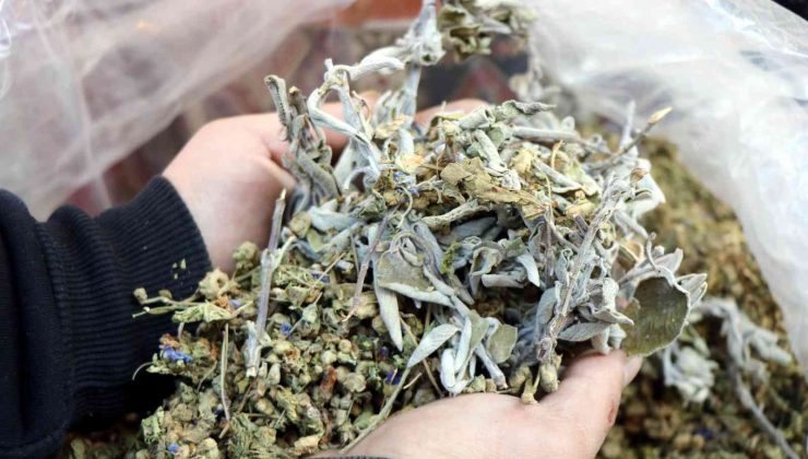 Adaçayı yağı her derde deva