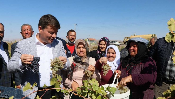Aksaray’da üzümler pekmeze dönüştü