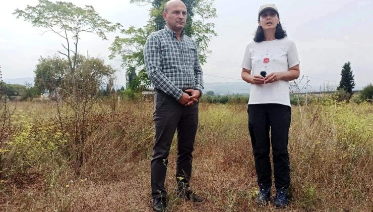 Altınova’da Helenistik bulgulara rastlandı