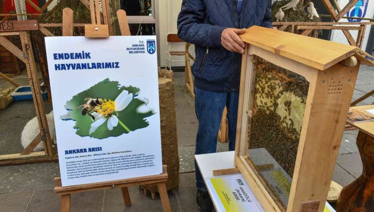 Ankara Büyükşehir Belediyesi “Başkent’in Beş Beyazı”nı tanıttı