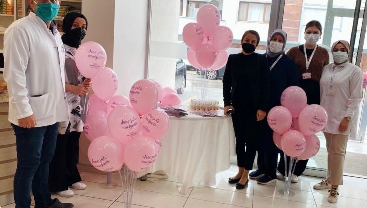 Anne sütünün önemine dikkat çektiler