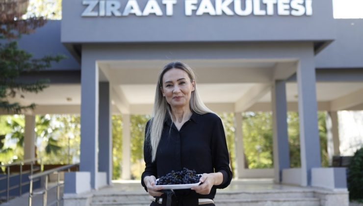 Antalya’nın yüksek rakımlarında üretilen ’süper meyve’ Aronya,  pandemi sürecinin gözdesi oldu