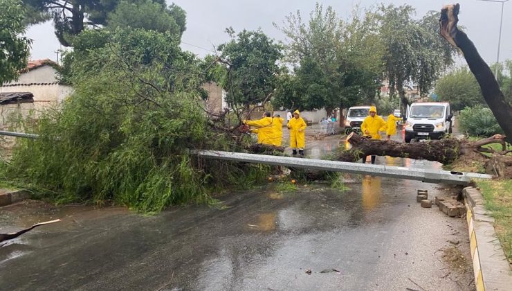 Aydın Büyükşehir Belediyesi ekiplerinden fırtınaya hızlı müdahale