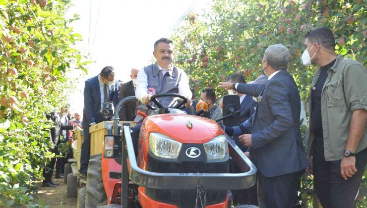 Bakan Pakdemirli, Karaman’da traktör kullanıp elma hasadı yaptı
