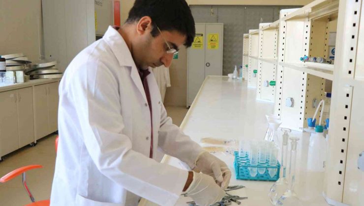 Balık derisinden jelatin