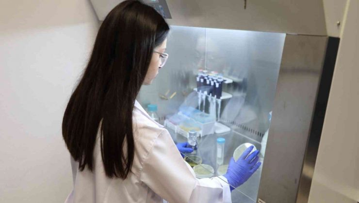 Bartın Üniversitesi öğrencisi Buket Yıldırım, Kovid-19 projesiyle ödül aldı