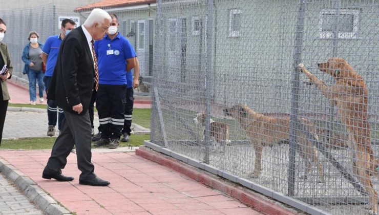Başkan Gürün Geçici Hayvan Bakımevini ziyaret etti