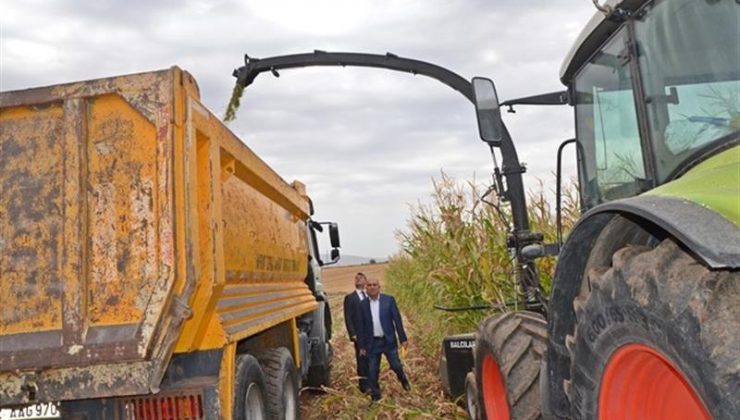 Batman’da devlet desteğiyle ekilen silajlık mısırın hasadına başlandı