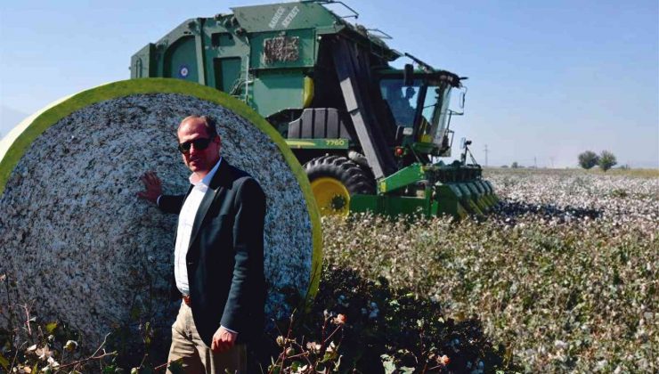 Beyaz altına dönüş artıyor