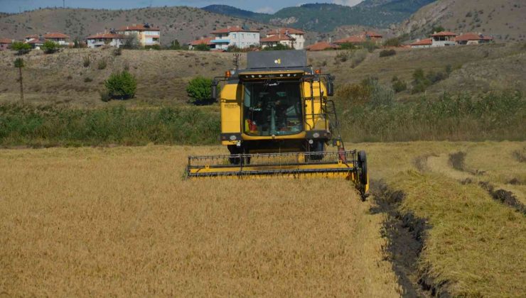 ‘Beyaz altın’ın sofralara uzanan yolculuğu başladı
