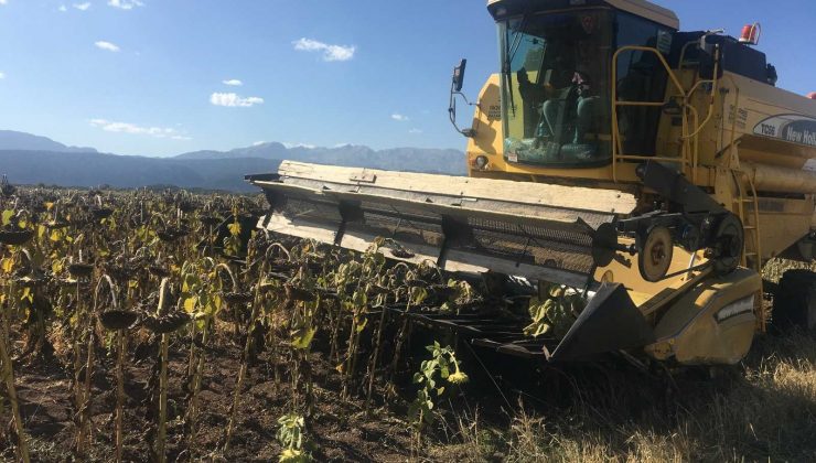 Beyşehir’de üreticinin yüzü gülüyor