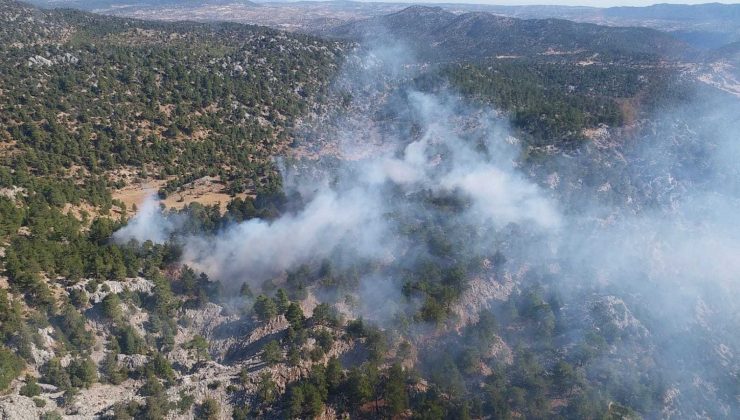 Bozyazı’da orman yangını