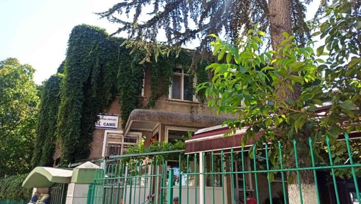 Bu caminin duvarları sarmaşıktan