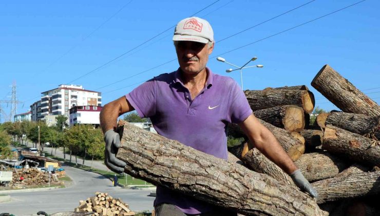 Büyük fabrikalar odunu ateşliyor