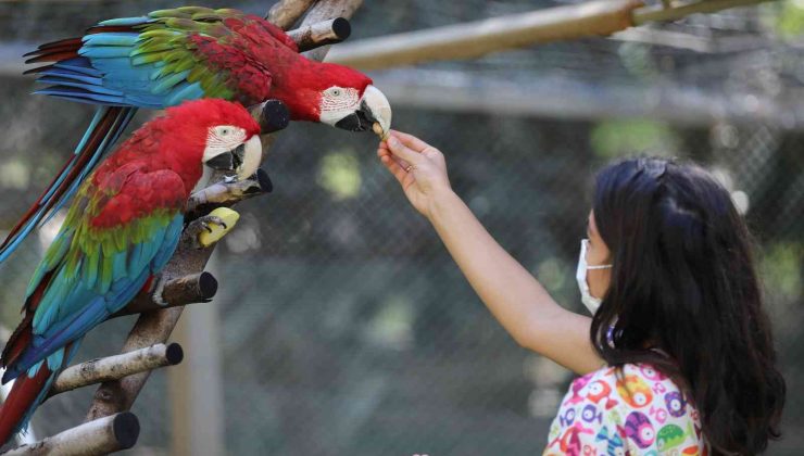 Büyükşehir Belediyesi Hayvanat Bahçesi’nde hedef bir milyon ziyaretçi