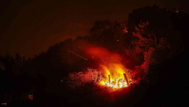 California’da yangın: 5 bin 500 hektar alan yandı