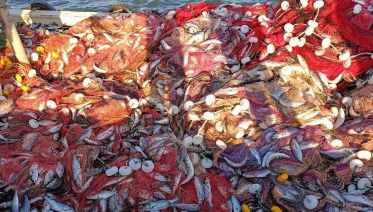 Çanakkale Boğazı’nda 15 bin lüfer yakaladılar