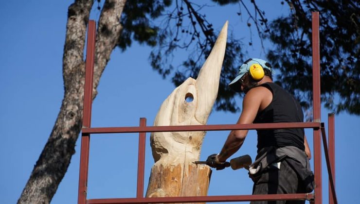 Çeşme’de ömrünü tamamlamış ağaçlar sanat eserine dönüşüyor