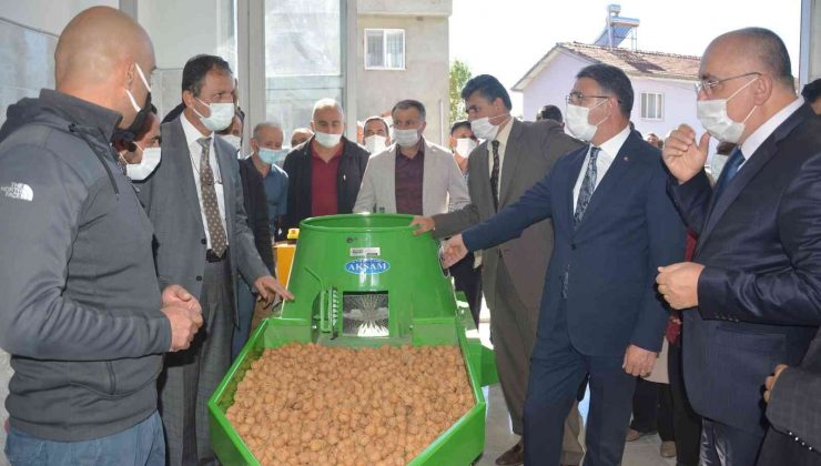 Ceviz fidanı sayısı 100 bine çıkacak, 35 milyon kazanç sağlanacak