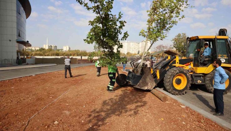Çocuk hastanesinin çevresi yeşilleniyor