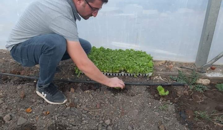 Çukurca Belediyesi seralardan ikinci mahsulleri aldı