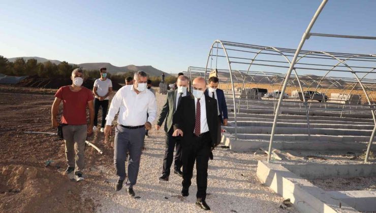 “Daha yeşil bir Mardin için kendi fidanımızı kendimiz üreteceğiz”