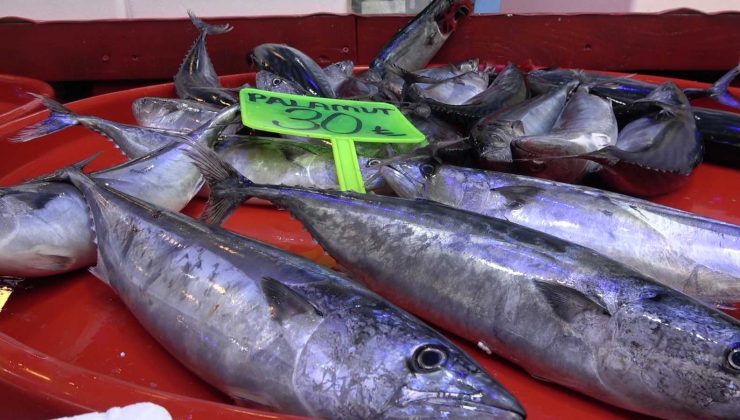 Denizde bolluk, tezgâhta kıtlık