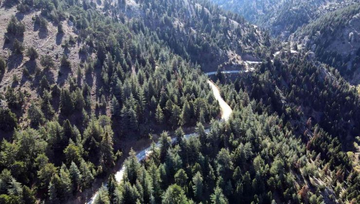 Develi – Adana bağlantı yolunda sona gelindi