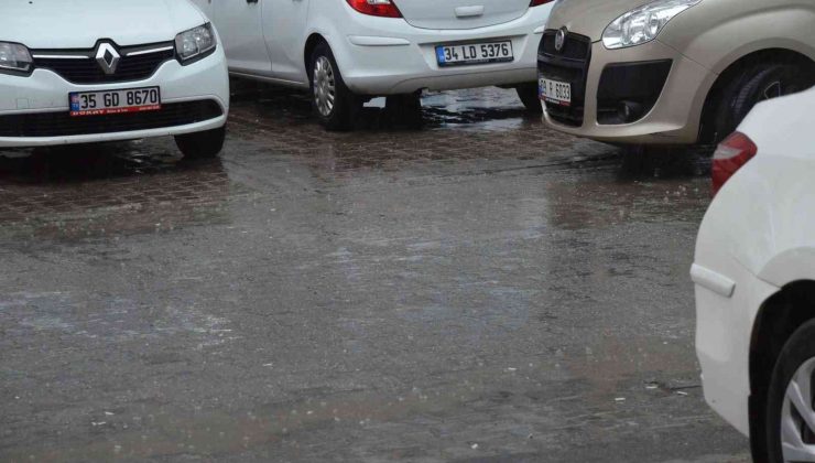 Didim’de yağmur sevinci