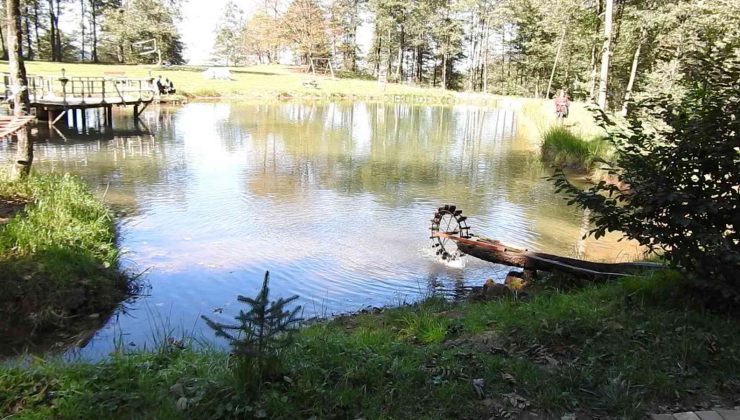 Doğanın Koynundaki Huzur “Barak Gölü”