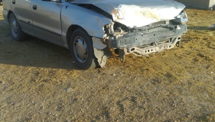 Domuz sürüsüne çarptı aracı kullanılamaz hale geldi