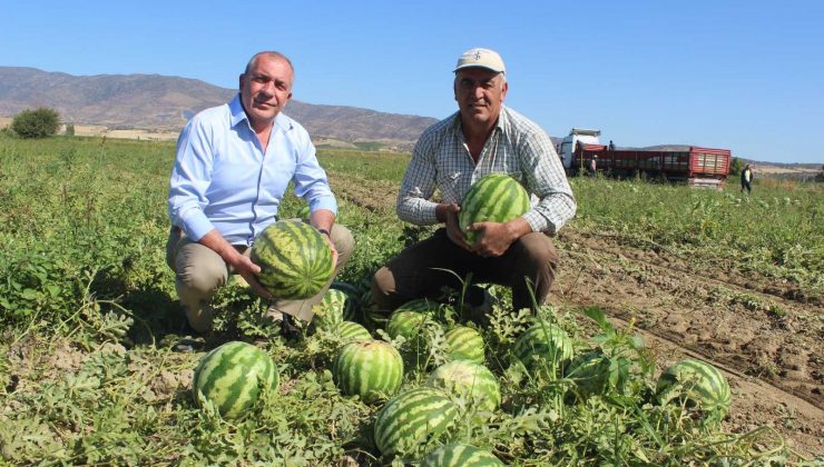Dubai’nin karpuzu Manisa’dan