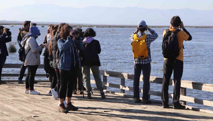 Dünya Göçmen Kuşlar Günü’nde Kızılırmak Deltasında kuş gözlemlediler
