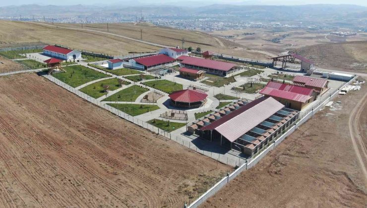 Kangallar bu tesiste korunuyor