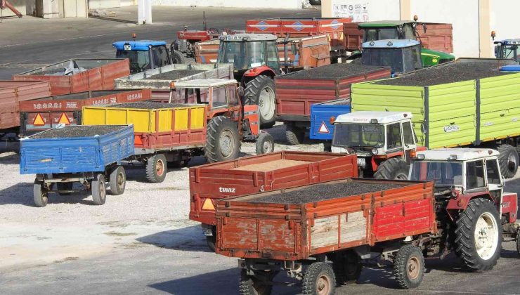 Edirne’de tarımda verim arttı