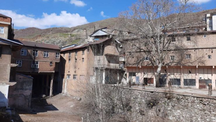 Elazığ’daki 115 yıllık ‘Dua çınarı’ tescillendi