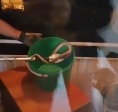 Elazığ’da eve giren yılan paniğe neden oldu