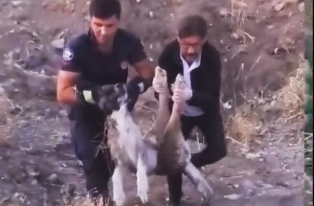 Elazığ’da yaralı halde bulunan köpek itfaiye ekipleri tarafından kurtarıldı