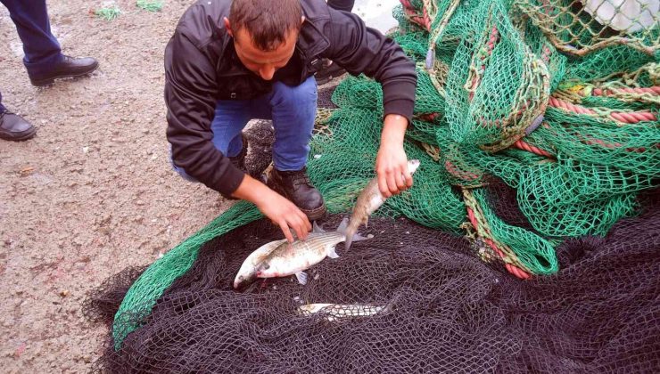 Erdek sahilinde kefal bolluğu
