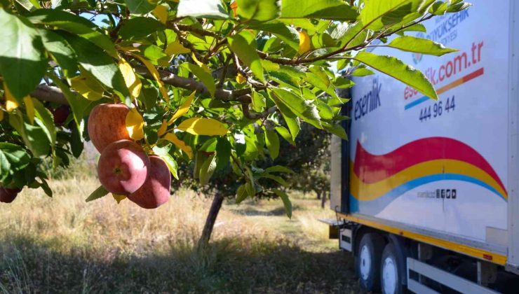 Esenlik’ten yerel üreticilere tam destek