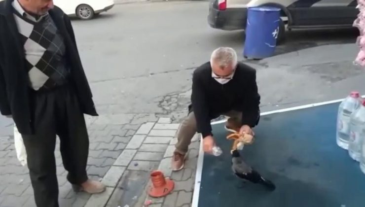Esenyurt’ta vatandaş ile karganın dostluğu tebessüm ettirdi