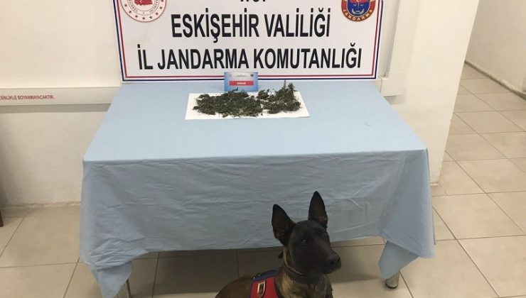 Eve saklanan uyuşturucu maddeleri jandarma narkotik köpeği Alfa buldu