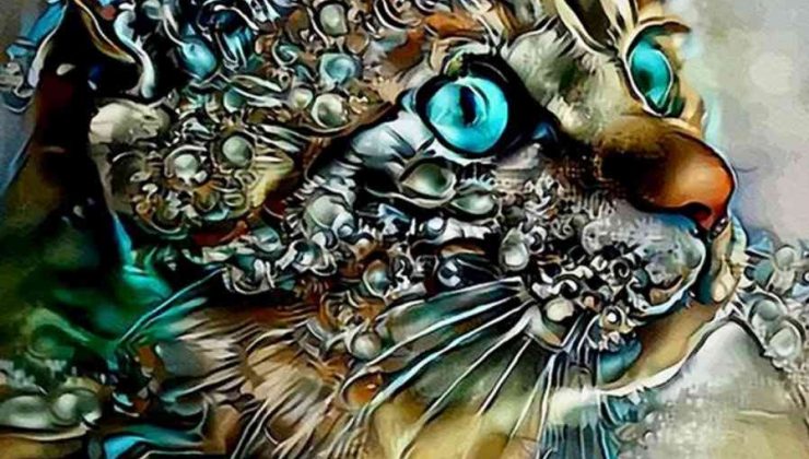 Farklı ırklardan 130’dan fazla kedi bu etkinlikte yarışacak