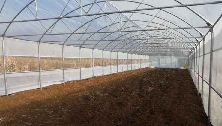 Fidanlık şefliğinde bulunan seranın onarımı yapılacak