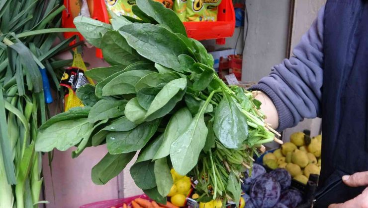 Giresun Sağlık İl Müdürü Muhammet Bulut: “Zehirli olan ıspanak değil, güzelavrat otu”