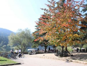 Gölcük Tabiat Parkı sonbaharın güneşli gününde tatilci akınına uğradı