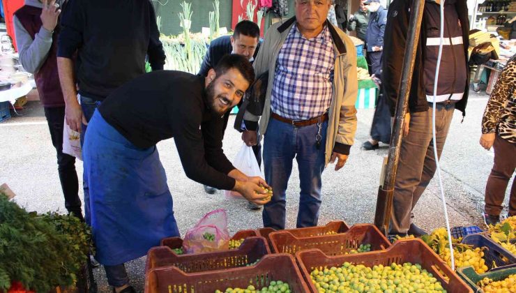 Günde yedi zeytin yiyip alzheimerdan korunun