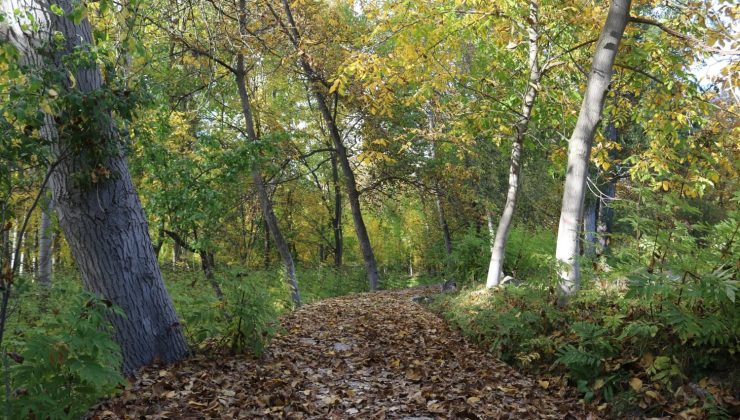 Günyüzü’nden eşsiz sonbahar manzaraları