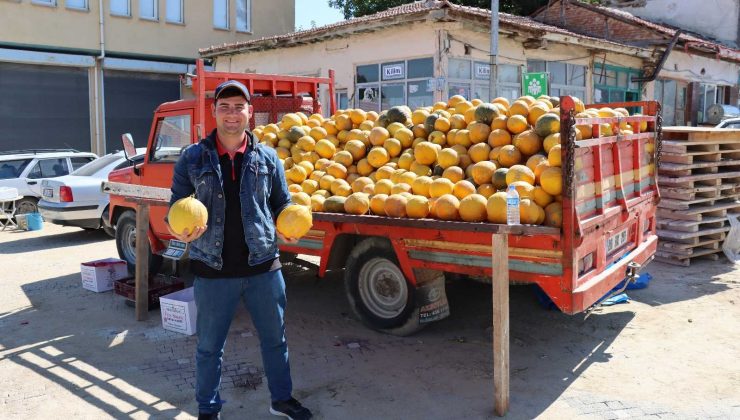 Günyüzü’nün meşhur ’Düvelek’ kavunu tezgahlarda yerini aldı